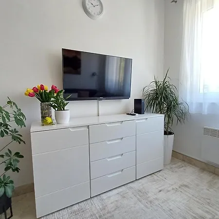 Springjoy Zara