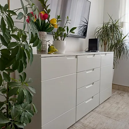 Springjoy