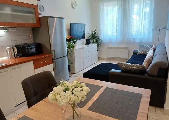 Springjoy Apartment Zadar